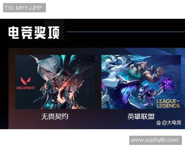 电竞新闻职业联赛中V5战队比赛经验分析与表现评估探讨